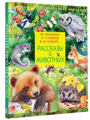 Рассказы о животных Михаил Пришвин - купить книгу Рассказы о животных в  Минске — Издательство Эксмо на 