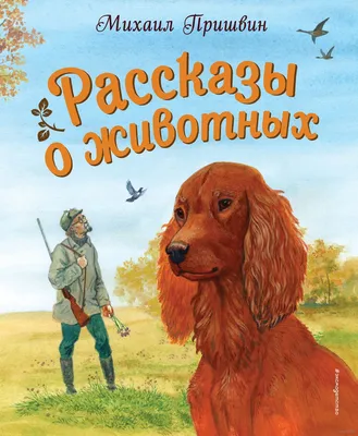 Книга для детей "Рассказы о животных" Бориса Житкова для внеклассного  чтения - Стрекоза