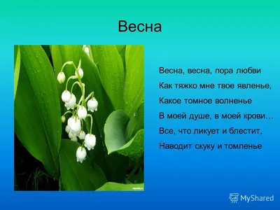 Красивые стихи о весне. Короткие и длинные стихотворения о весне для детей