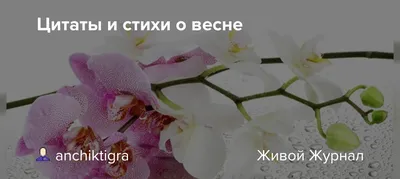 ВЕСЕННИЕ СТИХИ И ЗАГАДКИ ДЛЯ ДЕТЕЙ 3 лет, 4-5 лет и 6+! | Юлия Кунгурцева |   | Дзен