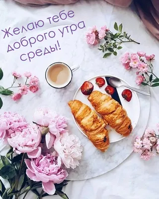 Доброе утро 🌺 #доброеутро | Instagram