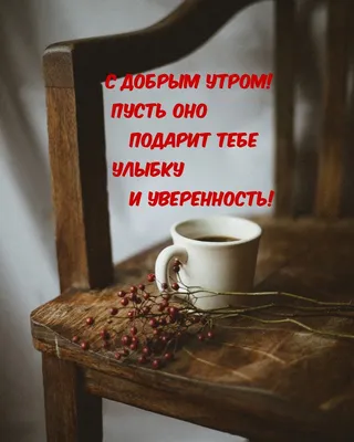 Доброе утро, монстр! Хватит ли у тебя смелости вспомнить о своем прошлом?  (Кэтрин Гилдинер) - купить книгу с доставкой в интернет-магазине  «Читай-город». ISBN: 978-5-04-153959-7