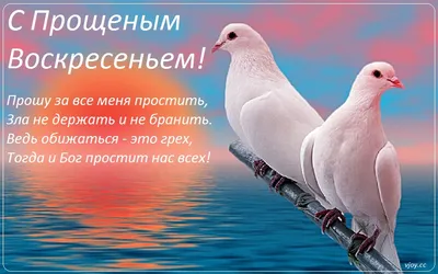 Дословно: Ты прости меня, прости, …» — создано в Шедевруме