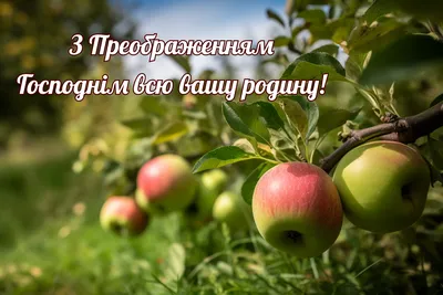 Подборка новых открыток "Яблочный спас" - 19 августа | Открытки,  поздравления и рецепты | Дзен