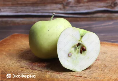 Яблоня Белый Налив - описание сорта, купить - Агро Сад