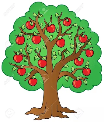 яблоня с яблоками картинки для детей: 12 тыс изображений найдено в  Яндекс.Картинках | Ilustração da árvore, Árvore de maçã, Arte de maçã