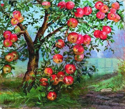 Яблоня Мартовское - описание сорта и фото яблок