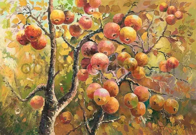 Calaméo - Яблоня с золотыми яблоками