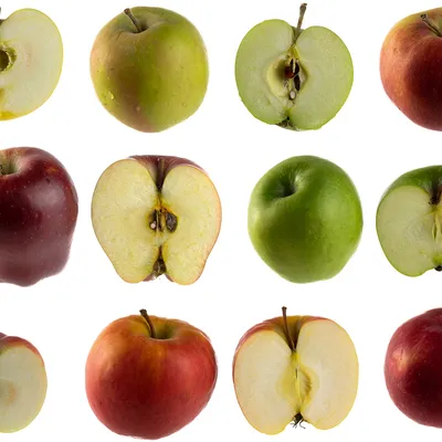 Корморан® против яблонной плодожорки и тли: блокбастер в саду с золотыми  яблоками • 