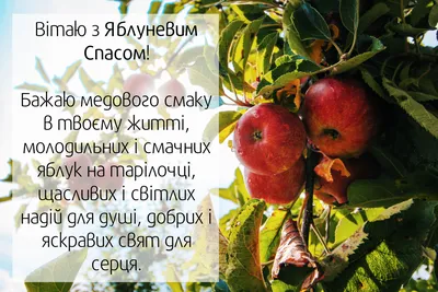 Яблучний Спас: скільки коштує зібрати кошик з фруктами у Тернополі - YouTube
