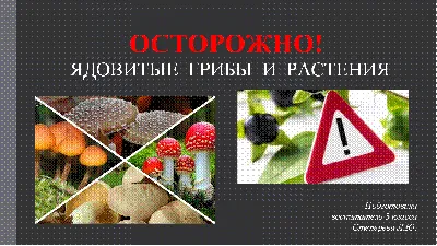 Презентация "Осторожно! Ядовитые грибы и растения!"