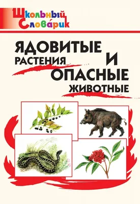 Убийственная сила растений, или Как не стать жертвой целебных трав