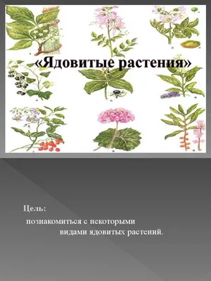 Ядовитые растения