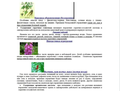 Старая открытка «Ядовитые растения» ⋆ PostcardPublisher