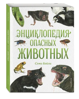 7 ядовитых животных и насекомых, которых нужно опасаться летом в  Таджикистане | Новости Таджикистана ASIA-Plus