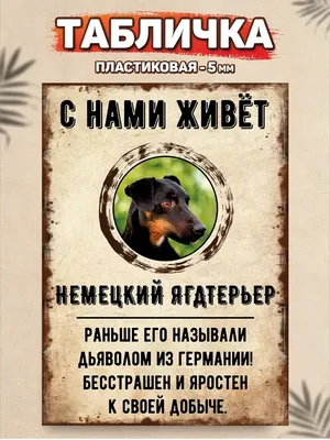 Город Подарков Постер Человек собаке друг: Ягдтерьер - купить в Москве,  цены на Мегамаркет