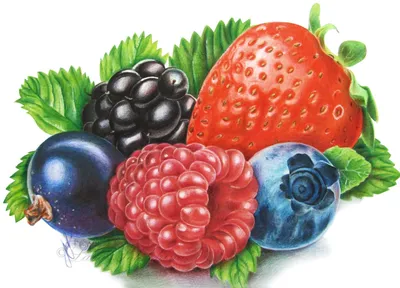 Фрукты и ягоды рисунки - 54 фото