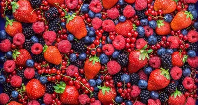 Картинки по запросу обои на телефон ягоды | Fruit wallpaper, Food  wallpaper, Fruit photography