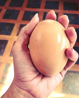 Имитация яиц с вентиляционными отверстиями, забавные яйца, детская  креативная пародия, игрушка для всего человека, не может ущипнуть яйца,  сжать яйца – лучшие товары в онлайн-магазине Джум Гик