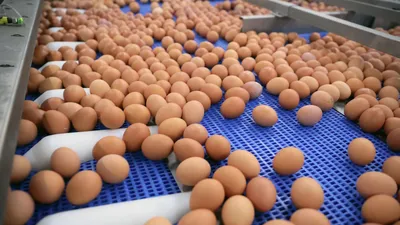 Чем красить яйца на Пасху - 10 вариантов, в том числе и красных |  Курьер.Среда | Дзен