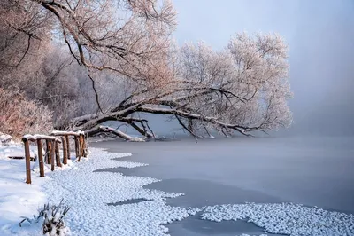 картинки : пейзаж, дерево, природа, лес, филиал, снег, зима, мороз, Погода,  Рождество, время года, метель, Декабрь, естественная среда, Февраль, Январь,  Замораживание, окружающая среда, зимняя буря 1920x1260 - - 1138529 -  красивые картинки - PxHere