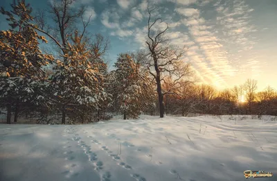 Закат в январе | Фотосайт СуперСнимки.Ру
