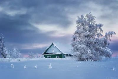 снежная сказка ❄️ #снег #зима #лес #СнежныйЛес #природа #январь #сугробы  #winter #snow #forest #nature #holidays #january | Instagram