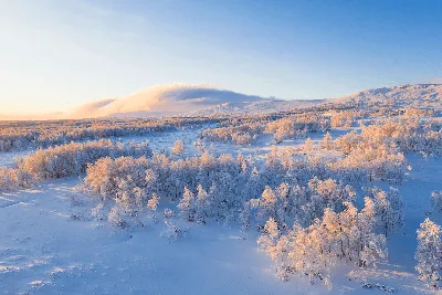 Amazing ☀️🏡❄ #природароссии #природа #красота #зима#снег#январь  #закат#сибирь #инстаграм_порусски #инстатаг #инстаграманет #деревня… |  Instagram