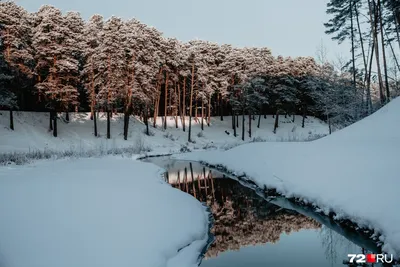 Природа Байкала | Январь