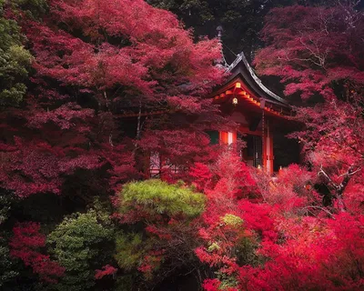 Картинки япония красивые - 65 фото