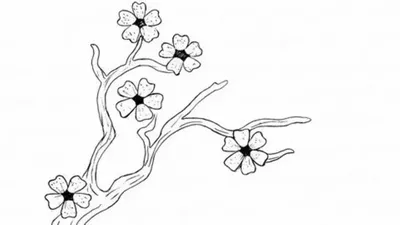 Бамбук рисунок в японском стиле для начинающих (47 фото) » рисунки для  срисовки на Газ-квас.ком