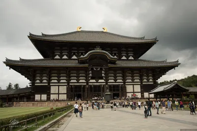 100 лучших мест любования сакурой в Японии: храм Дайгодзи (Киото) |  