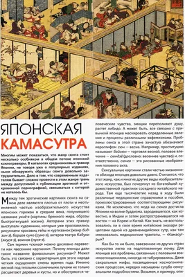 Характеристики модели Пушакова Анна Э. "Откровенное искусство Японии. Сюнга"  — Любовь и эротика — Яндекс Маркет