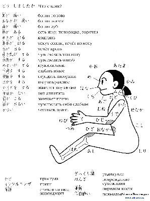 Книга Японский язык для начинающих. Карточки для изучения азбук • без  автора - купить по цене 553 руб. в интернет-магазине  | ISBN  978-5-17122-573-5