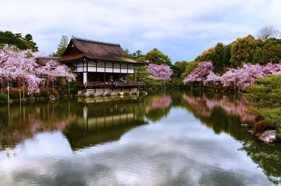 Японский пейзаж - красивые фото