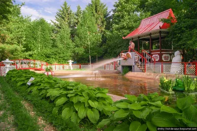 Японский сад камней: фото композиций, изготовление своими руками