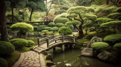 Когда откроется японский сад в парке Галицкого в Краснодаре? —  Краснодарский край