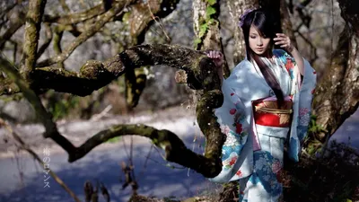 ᐉ Японская кукла нинге Девушка в кимоно 30 см Разноцветный (C3783)