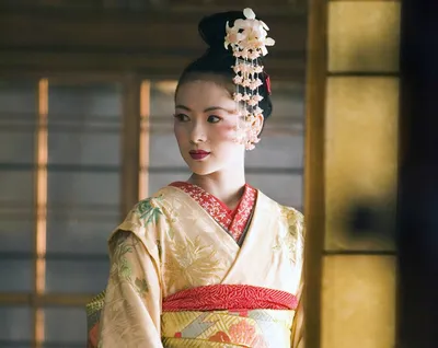 Коконо-токоро – почти утраченное искусство красоты японских гейш |  Прекрасная эпоха | Дзен