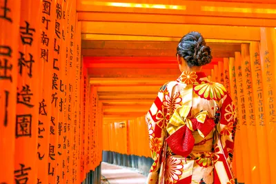 Кимоно традиционное купить японское кимоно женское украина под...: цена  2500 грн - купить Платья и сарафаны женские на ИЗИ | Украина