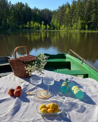 туманный фон яркие летние листья в тропическом климате, лето, Листья, пляж  фон картинки и Фото для бесплатной загрузки