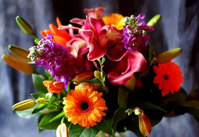 Скачать 800x1200 лилии, оранжевые, яркие, цветы обои, картинки iphone 4s/4  for parallax