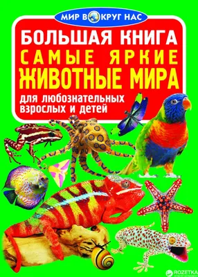 Большая книга. Самые яркие животные Мира (9789669361172) – фото, отзывы,  характеристики в интернет-магазине ROZETKA | Купить в Украине: Киеве,  Харькове, Днепре, Одессе, Запорожье, Львове