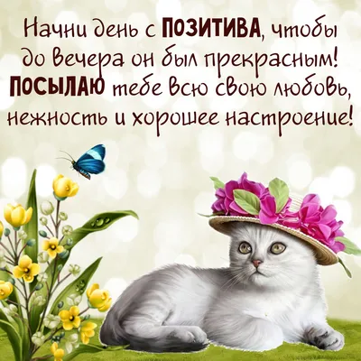 Набор бумажной посуды «Смайлы с улыбкой», 6 тарелок , 1 гирлянда , 6  стаканов, 6 колпаков (4484814) - Купить по цене от  руб. | Интернет  магазин 