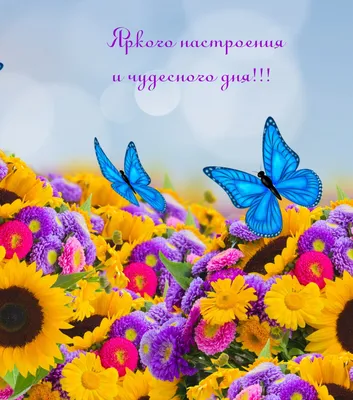 Купить оптом Яркого Дня рождения! с доставкой в Россию Беларусь | Стильная  открытка