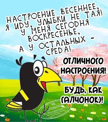 Открытка Хорошего дня и отличного настроения, скачать бесплатно