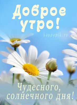 Интересные картинки с добрым утром. Яркие открытки! | Доброе утро,  Картинки, Открытки