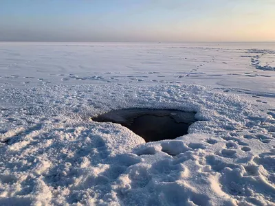 Алтайская Ибица. Как и где отдохнуть на курорте Яровое