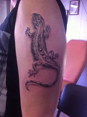 Тату ящерица | Lizard, Animal tattoo, Tattoos