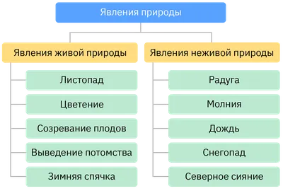 Связь между живой и неживой природой (41 фото) - 41 фото